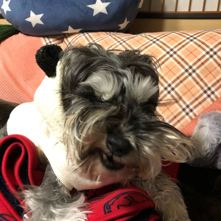 3d5d0eb2 abec 4e12 bd14 95282bff0ad9 1616662497753