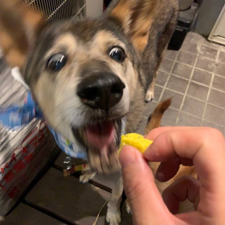 3d5d0f85 2b08 4189 8a9c 0e1d43c6559a 1580197317887