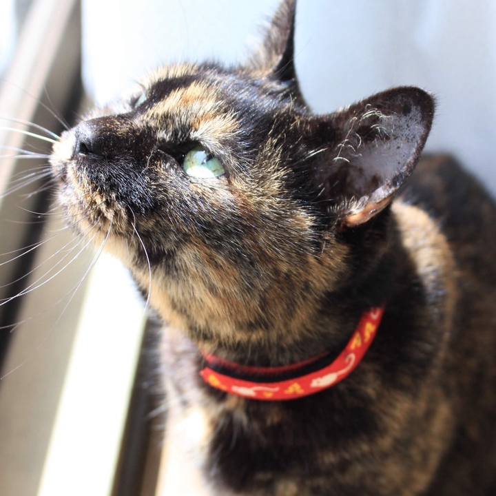 3d5d3273 4355 4f23 99ae 15ed406d0936 1711684535315