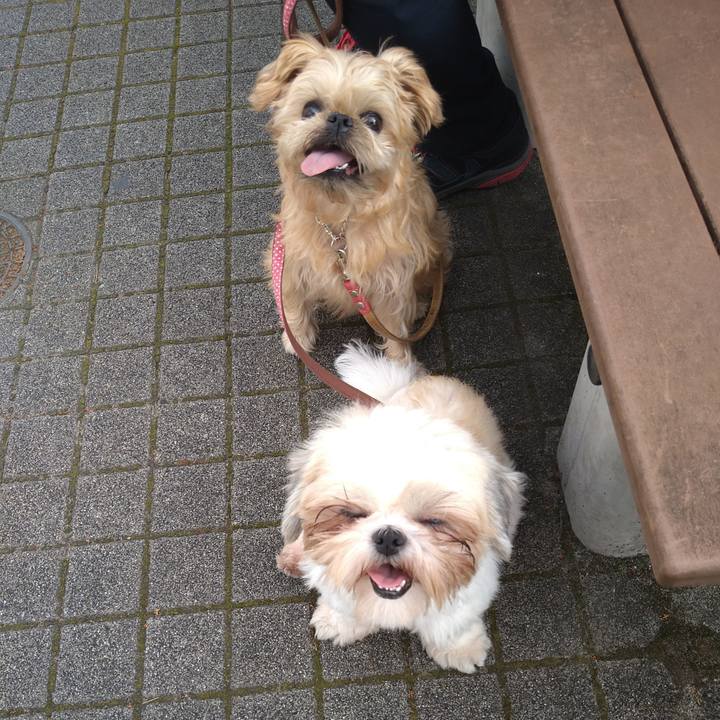 3d5db95e 19fd 485c 8ec0 49ffb75dd6f3 1602834453307