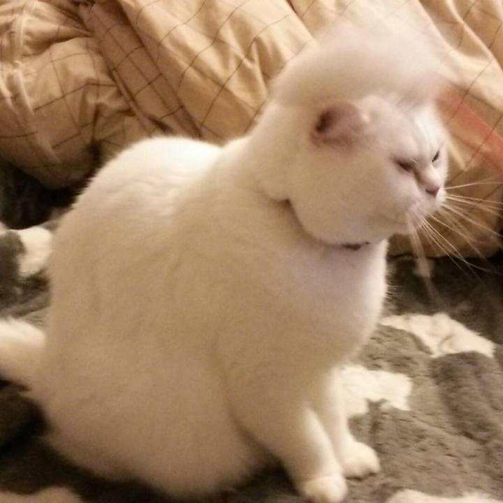 3d5dba7c 0816 4044 aaf5 66e20ea08b4d 1517872157922