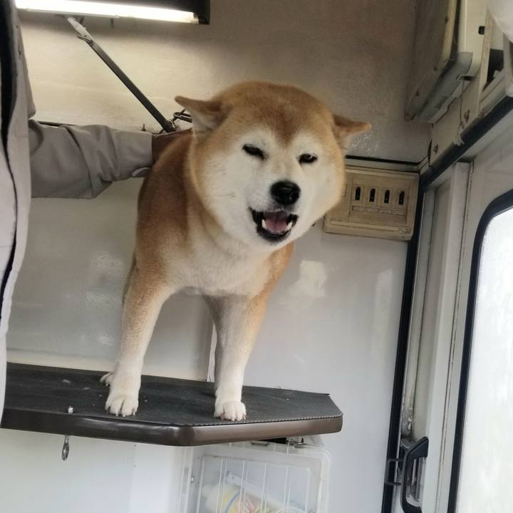 3d5dcd27 d77e 4156 8f51 afc4a5e0060b 1654647899195