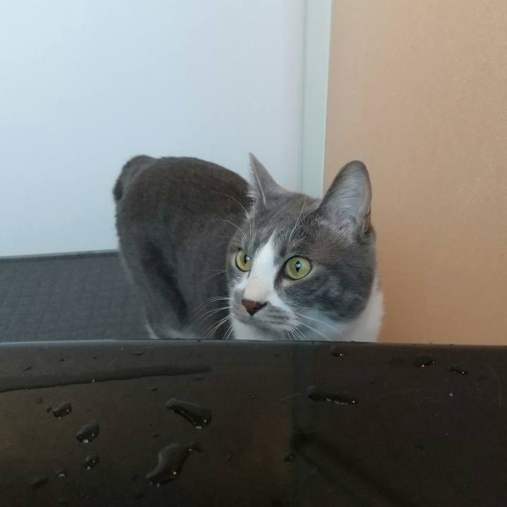 3d5e0667 309b 4ff6 8963 6b37256ca120 1643011490170