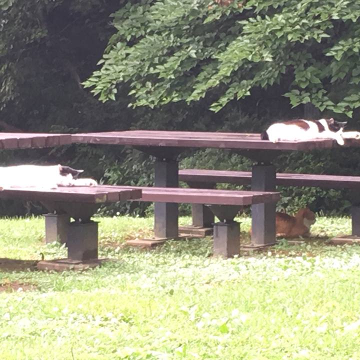 3d5e2daa 00ac 473b be8a 99bb58720977 1530865538363