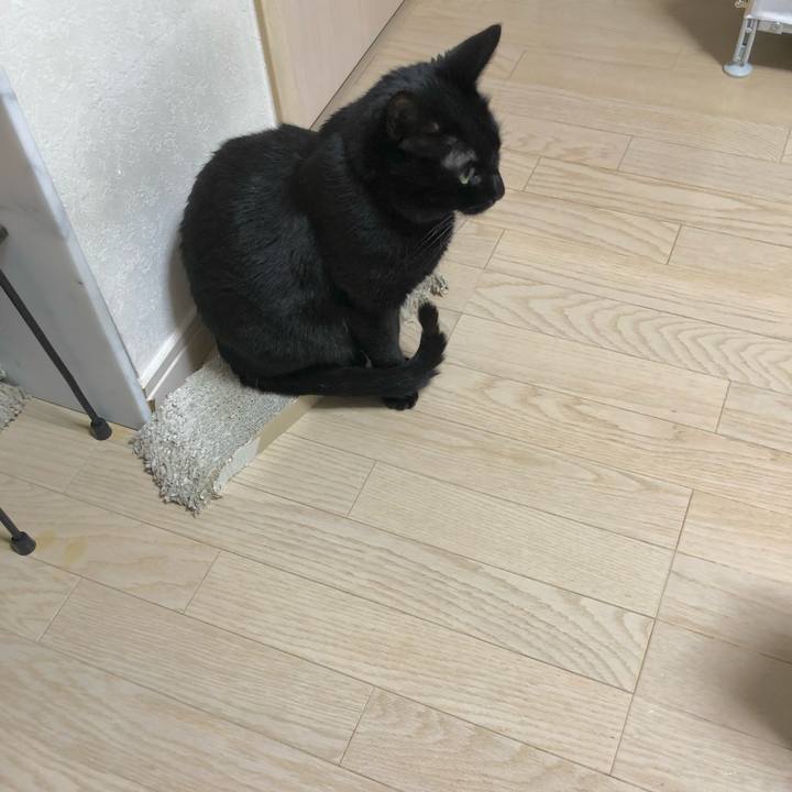 3d5e45e2 162b 4f63 9808 7f48a5324452 1614596664467