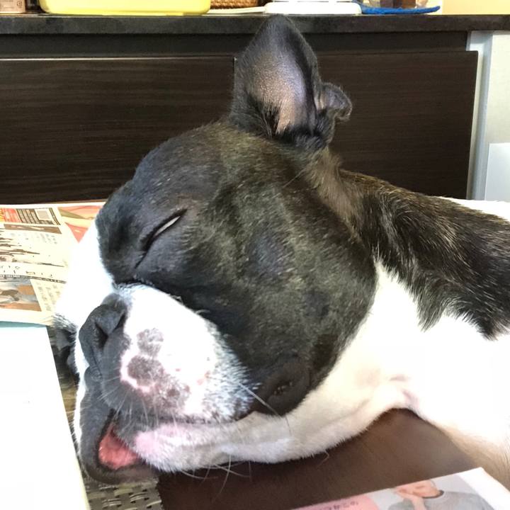 3d5ea0bc 2543 4fc1 a9af b9c3cb132ed1 1531189689871