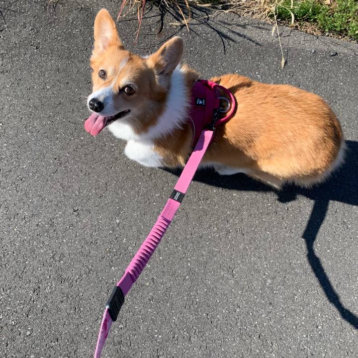 3d5ea25f 5ad6 4eba 95e3 707b78f272fe 1701400345153