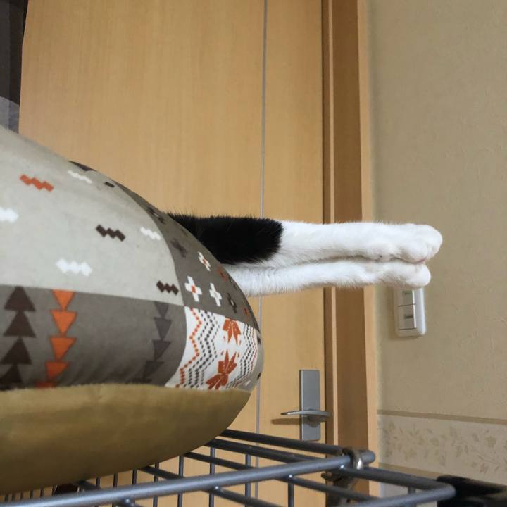 3d5ea5a8 4e9d 4aed 923d 429f6cee1ad7 1576744316397