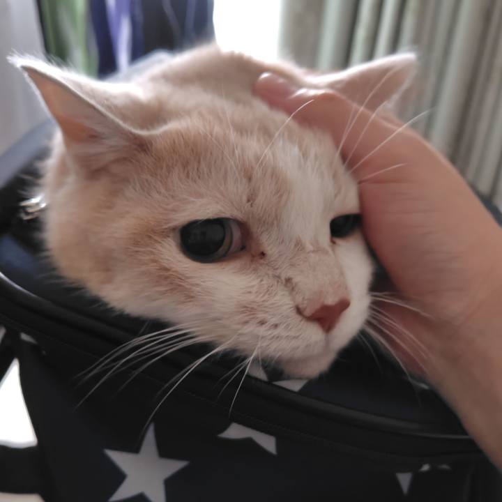 3d5f0037 32b1 4531 a903 5c033484fab2 1730509714730