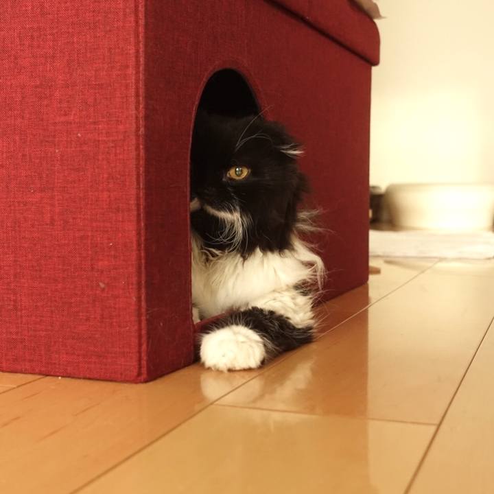 3d5f5307 66bf 4faa afc7 4316c80eb2ac 1570358632596