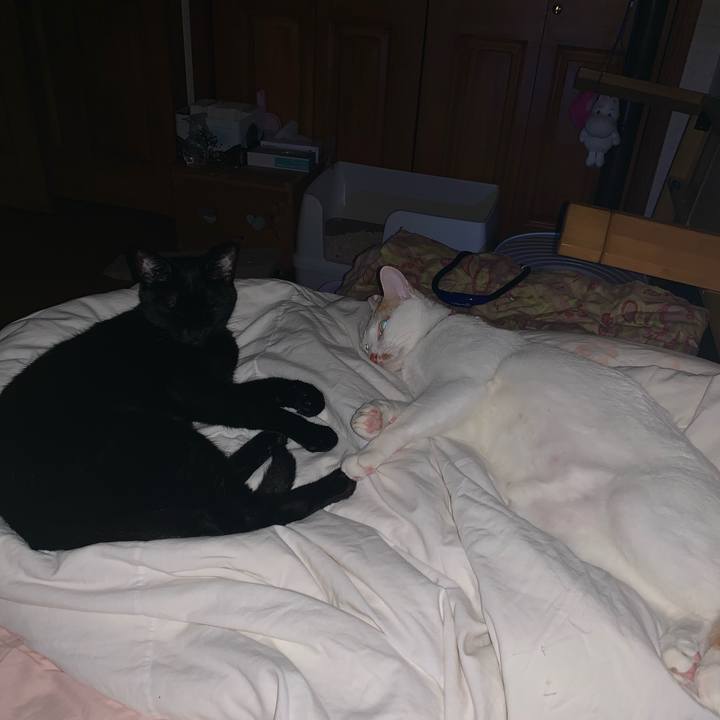 3d5f55ae 1cc0 42e6 a0ce 31d35006d6a9 1562861470532