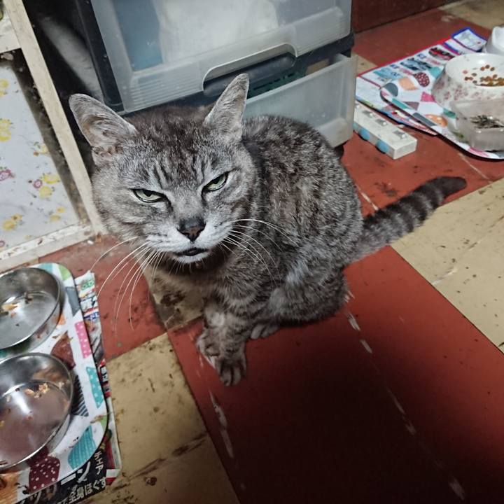 3d5f7064 6e44 495a aace 66df55d40c6a 1593202597053