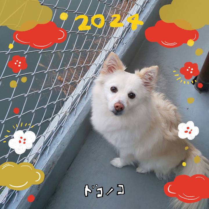 3d5f8ab8 dcbd 462a be2c cd708e2cb796 1704268365708