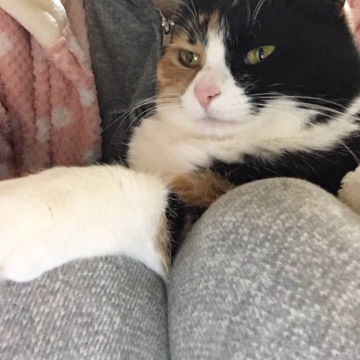 3d5fad17 db09 43f6 8a9b 2c140eaa940a 1518412956932