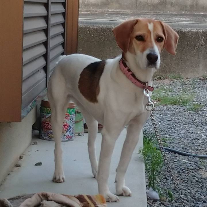 3d5fdb27 897a 4c0f 8253 b16fcec110cb 1584094881314