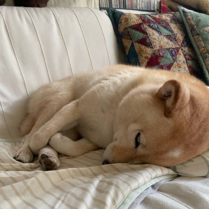 3d5feaab 6175 42d9 b0e0 90da19bcc9bf 1692623131840