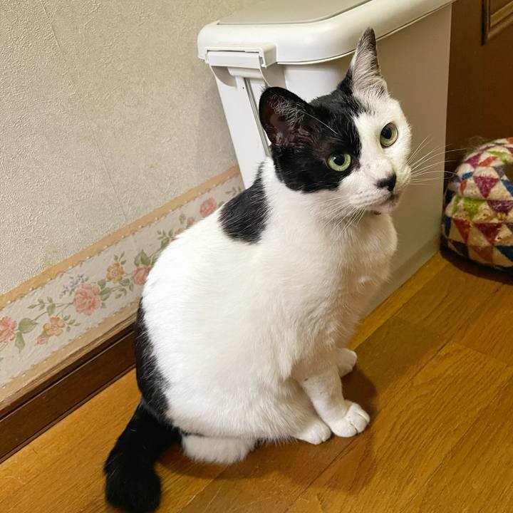 3d5ffa0e 53b9 4910 95ab 8a4a4bd2250d 1747263290407