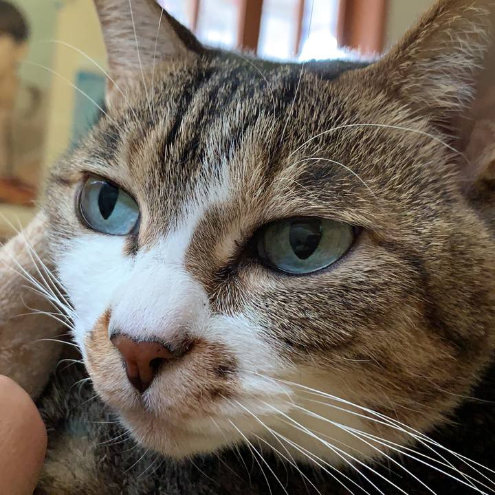 3d6000b7 75ca 48f1 b674 003c26503805 1606539603383