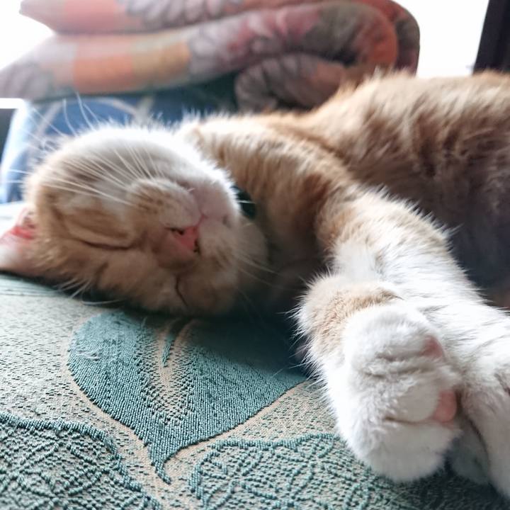 3d6001fe 119b 4edc 8dd1 c3860e110297 1566940305672