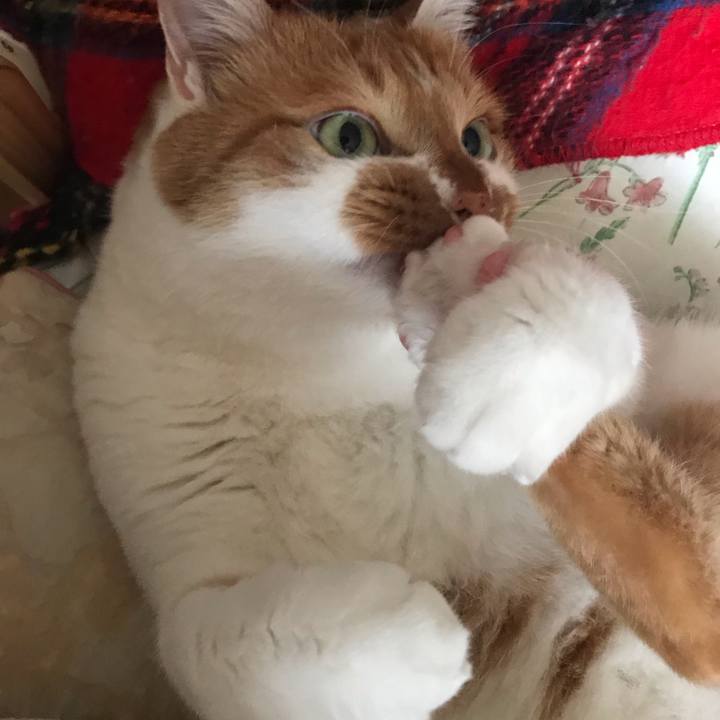 3d6010a3 4574 4ddf b810 726cd44f70c3 1553753852416