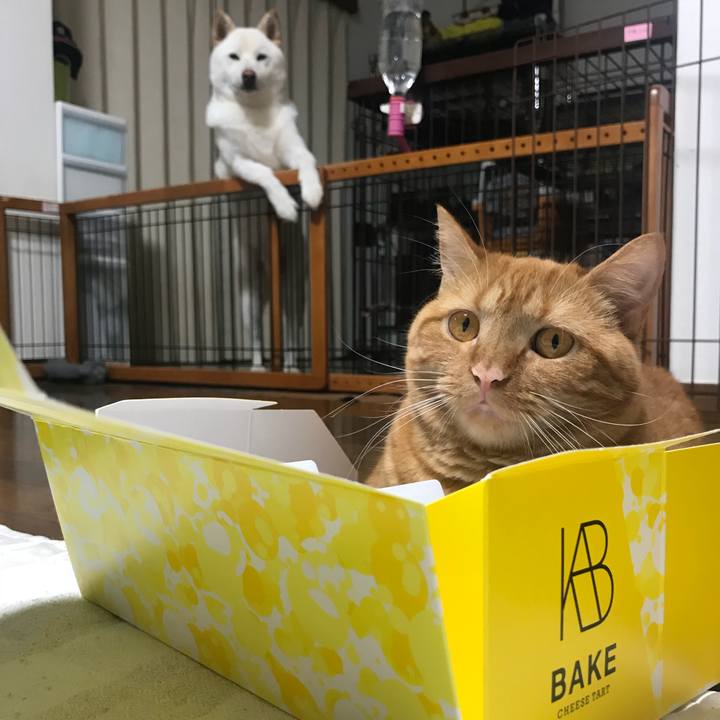 3d605a2b 0221 49a0 8e8b 25ecbd43320c 1532181506990