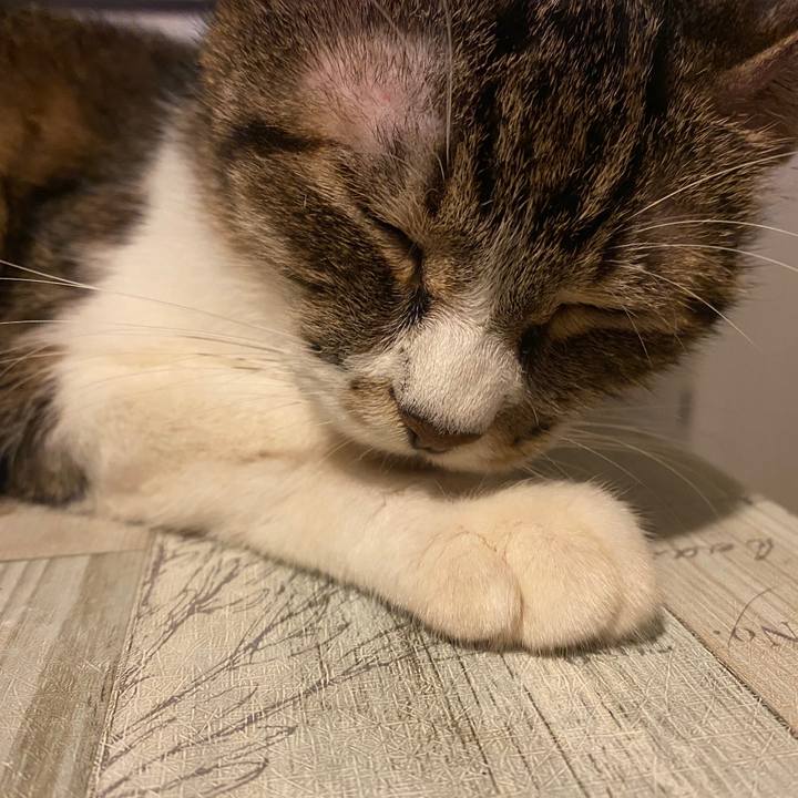 3d609611 e373 4feb a50e 190f7033da16 1598057173705