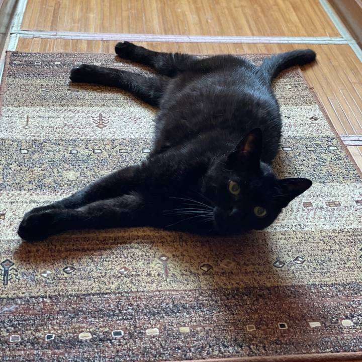 3d60a0f7 8fd3 4206 82dd a08ae0afbcad 1656640773044