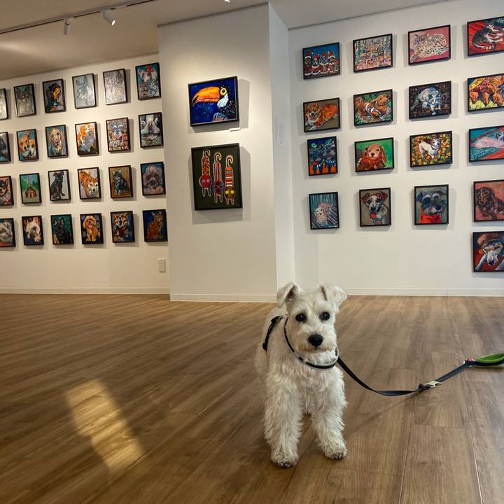 3d60a1df 4e45 45c1 91a1 e153a3162238 1764678220849