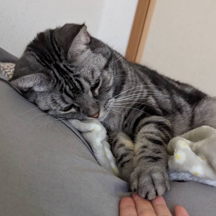 3d60a3fe 3008 4fcb a7ed 2ae59d122c31 1702447168948