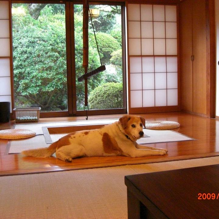 3d60cc3e ddcf 4bee b803 6bd3b9de455b 1513586501642