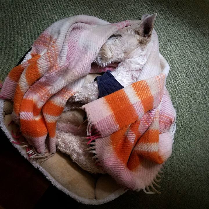 3d60d4d3 595a 4974 ba8a b68c10e947a7 1511823511826