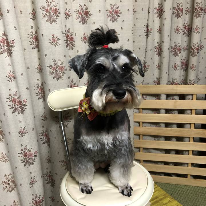 3d60ec15 10a4 404d af99 50e604365f2e 1606996476195