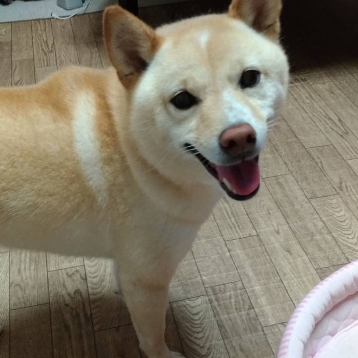 3d60f0c4 fa0c 4a42 a670 d85d7380af95 1595627246723