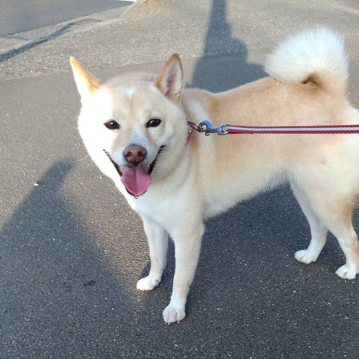 3d61096f ebd4 4900 b895 eab45bc5290b 1598653137052