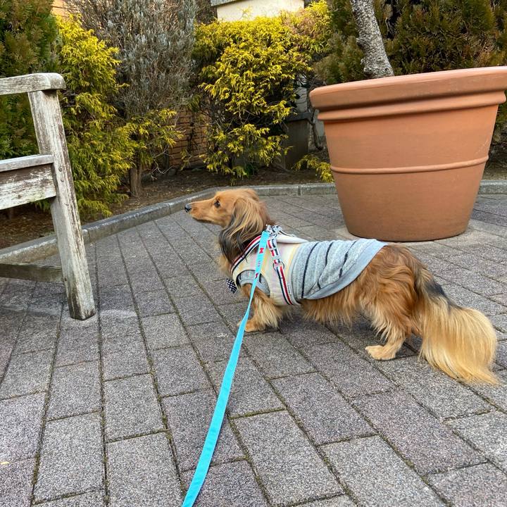 3d610f1a bae9 4a46 a69b bf77ccfba97d 1643238053142