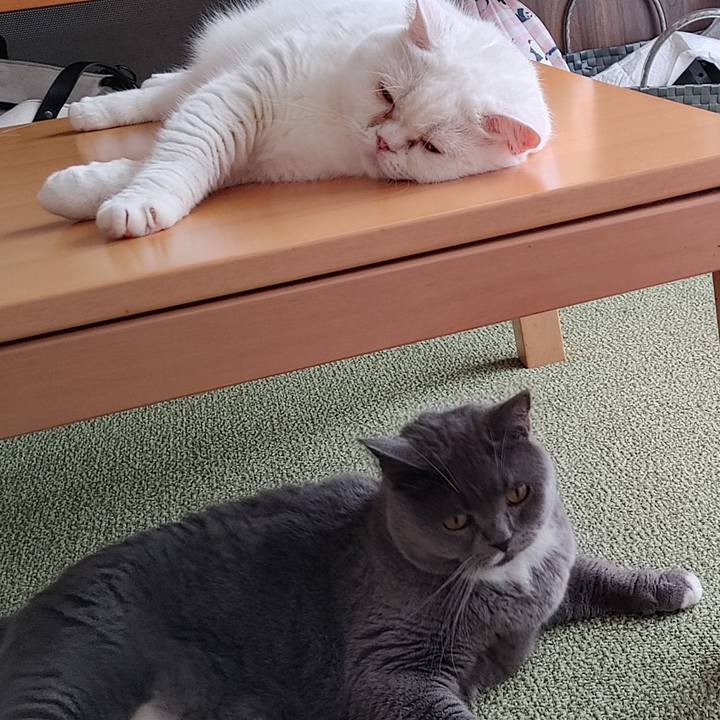 3d611f96 8c08 460b a386 722d94493a32 1629503738618