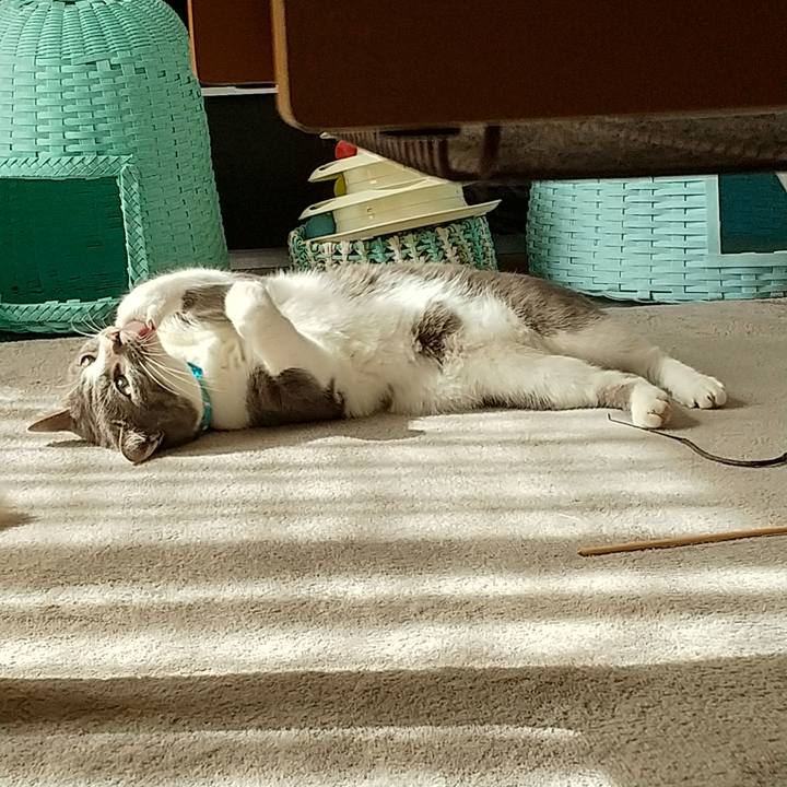 3d612363 62b5 49bf b0e1 a7bb36b53c9b 1633925360033