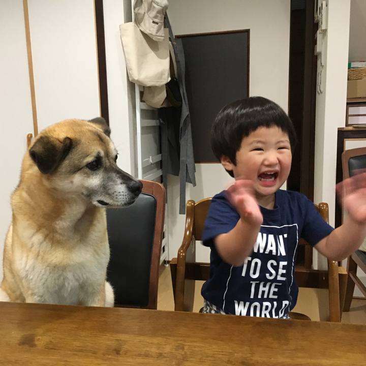 3d612503 55b0 49cf af7b 556ad5d47357 1528282108654