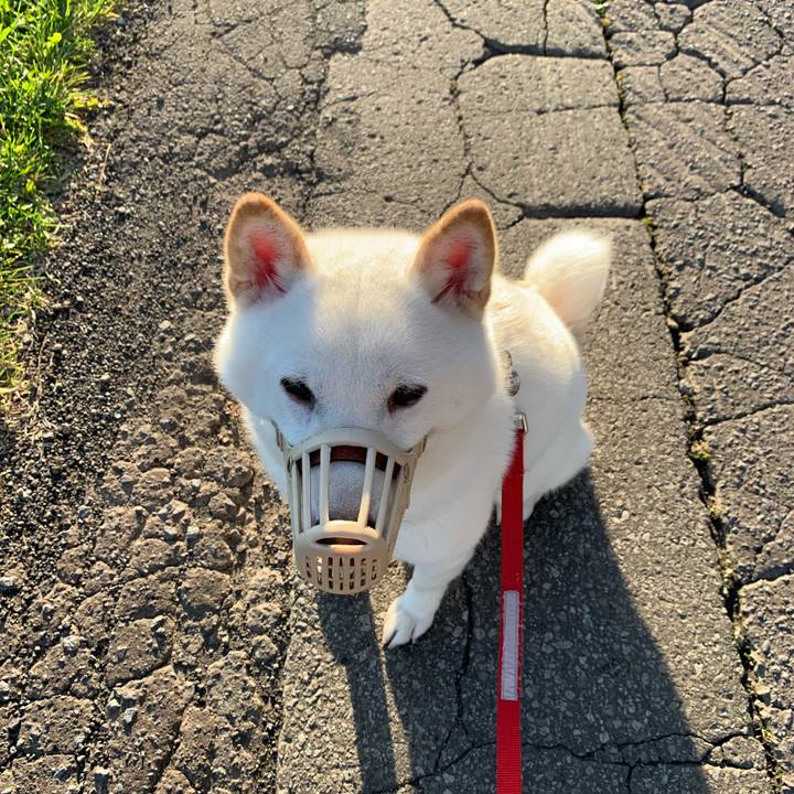 3d612c74 0ceb 46d3 9b6c 179de3fb6650 1569451033036