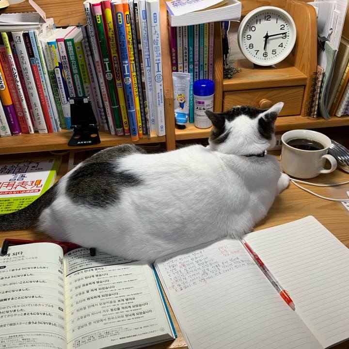 3d6132dd 14a7 4f19 954d a7969ecf4ea8 1638306995777