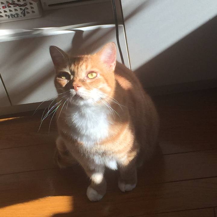 3d6156db cb1a 4d72 8970 1b15ce27996e 1574230831947