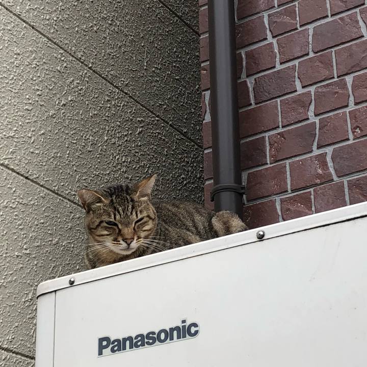 3d6156f2 d61b 4320 9a83 f27c99514c3a 1603573994878