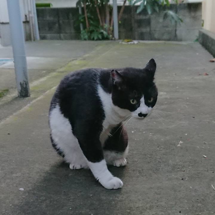 3d617fd4 07d3 4e6f 93bf efcc1589c275 1530353437445