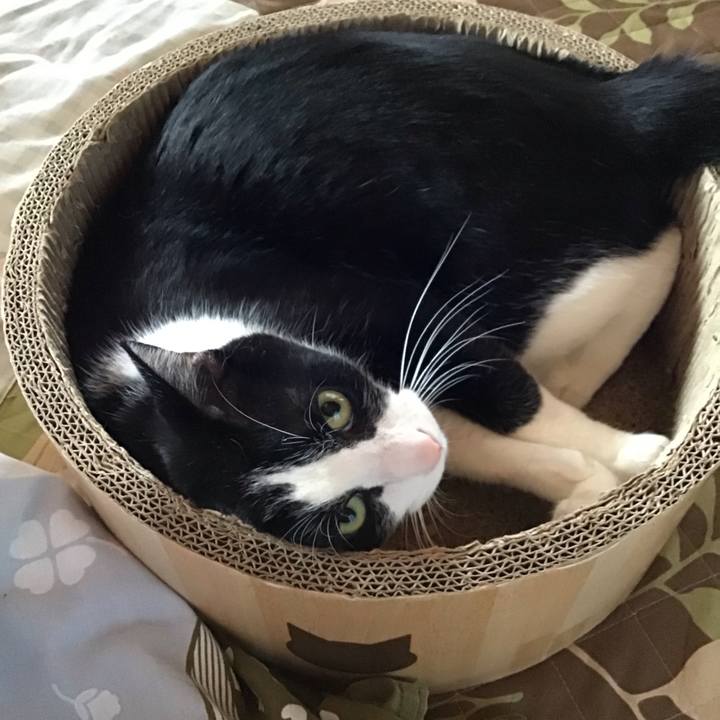 3d61912f f866 4375 a95f ee0078be805e 1731915389026