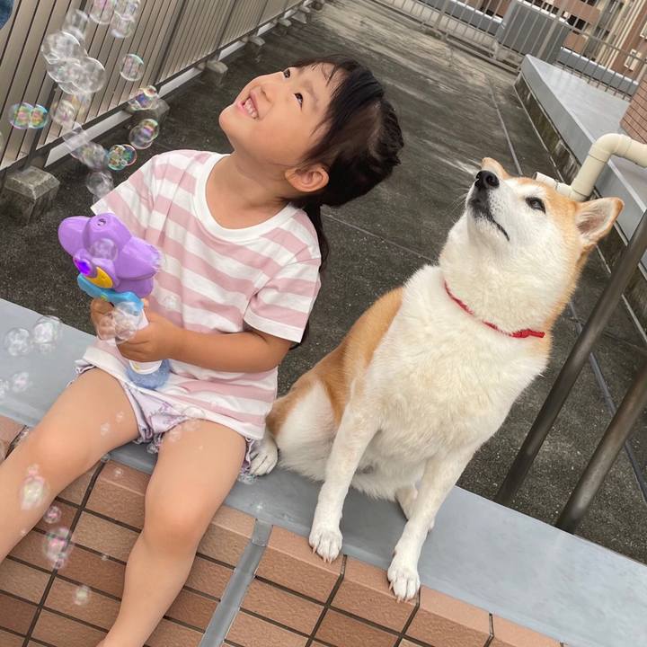 3d6191c3 599a 4ad9 bf57 d0f310c9aea3 1624401086012