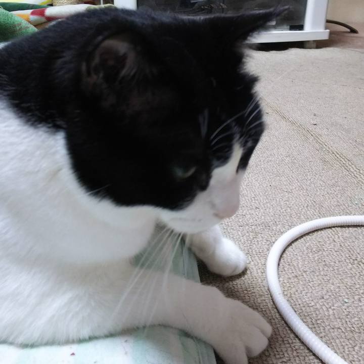 3d623fec dd51 4e15 8a72 540019d65fcc 1537748213194