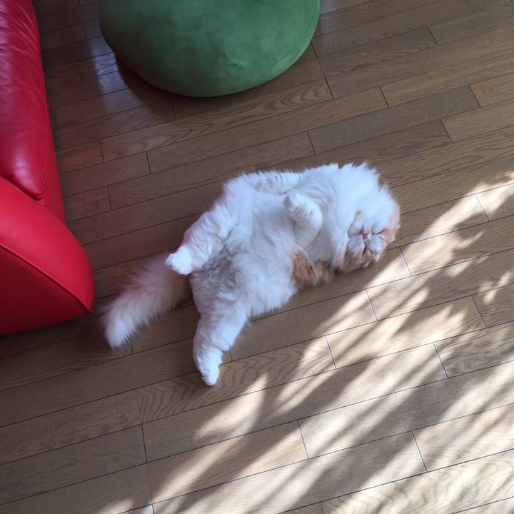 3d624008 60cd 4b99 8347 ade46dc70e51 1513731749115