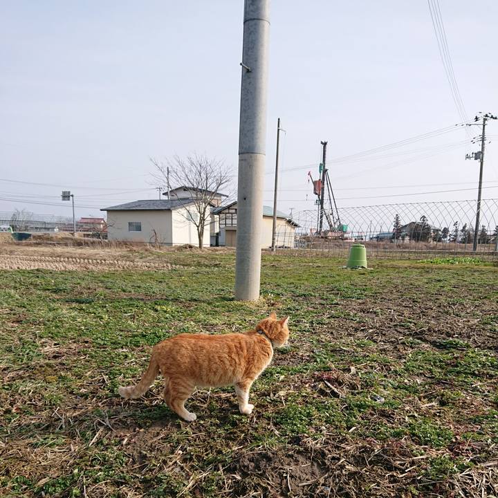 3d62446e 2712 4910 8345 269207302292 1581745121627