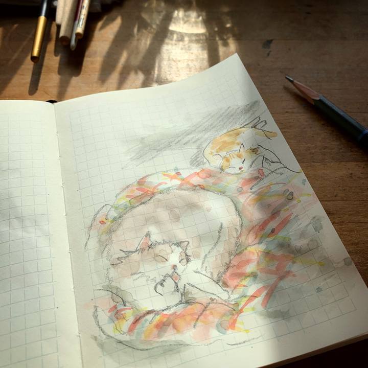 3d625671 b7bf 49cd b1c9 70a8aa3d92b5 1606101682399