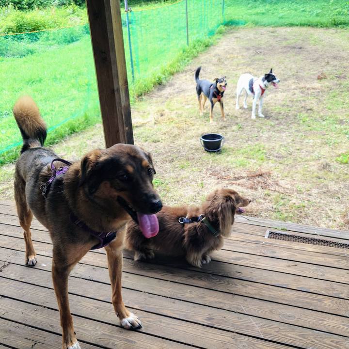 3d625cd9 dd1c 4d6a ae24 d99164e64f2d 1752918692279